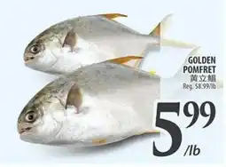 Al Premium Food Mart GOLDEN POMFRET offer
