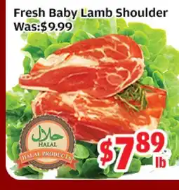 Top Food Supermarket Fresh Baby Lamb Shoulder offer