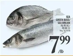 Al Premium Food Mart SEA GREEN BASS/ SEA BREAM offer