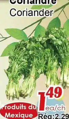 Marche C&T Coriandre offer