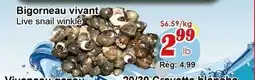 Marche C&T Bigorneau vivant offer