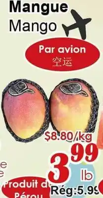 Marche C&T Mango offer
