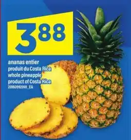 Maxi ANANAS ENTIER offer