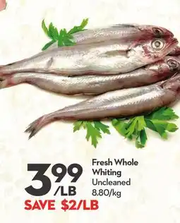 Longo's Fresh Whole Whiting offer