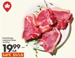 Longo's Fresh Ontario Lamb Loin Chops offer