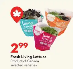 Longo's Fresh Living Lettuce offer