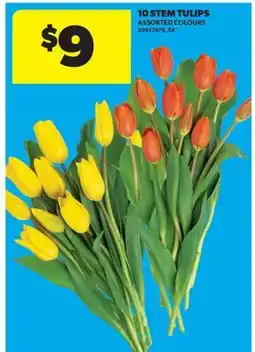 Real Canadian Superstore 10 STEM TULIPS offer