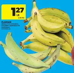 Real Canadian Superstore PLANTAIN offer