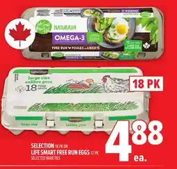 Metro SELECTION offer