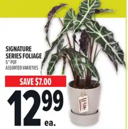 Metro SIGNATURE SERIES FOLIAGE offer