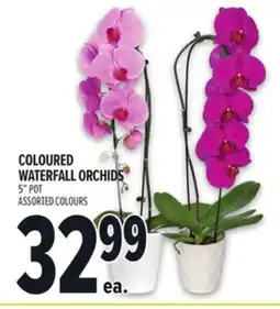 Metro COLOURED WATERFALL ORCHIDS offer