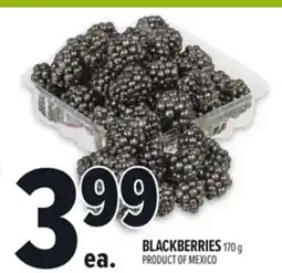 Metro BLACKBERRIES offer