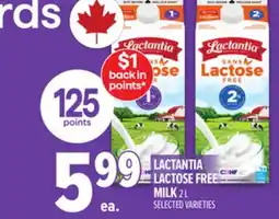 Metro LACTANTIA LACTOSE FREE MILK offer