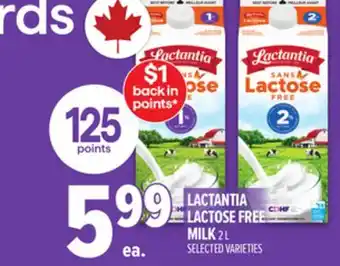 Metro LACTANTIA LACTOSE FREE MILK offer