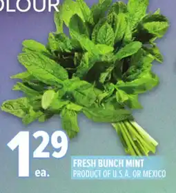 Metro FRESH BUNCH MINT offer