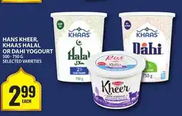 Food Basics HANS KHEER, KHAAS HALAL OR DAHI YOGOURT offer
