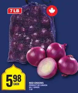 Food Basics RED ONIONS offer