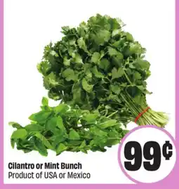 FreshCo Cilantro or Mint Bunch Product Of USA Or Mexico offer