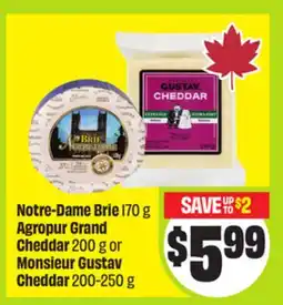 FreshCo Notre-Dame Brie, 170 g, Agropur Grand Cheddar 200 g, Monsieur Gustav Cheddar 200-250 g offer