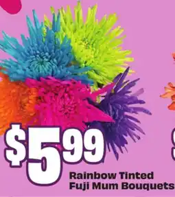 FreshCo Rainbow Tinted Fuji Mum Bouquets offer