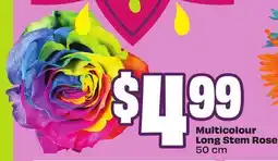 FreshCo Multicolor Long Stem Roast 50 cm offer