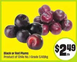 FreshCo Black or Red Plums Product of Chile No. I Grade offer