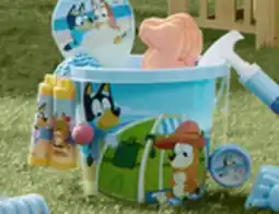 Walmart Licensed buckets or bubble wands offer