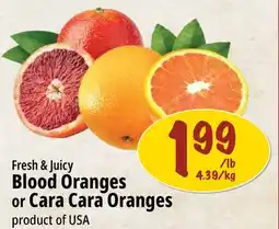Farm Boy Fresh & Juicy Blood Oranges or Cara Cara Oranges offer