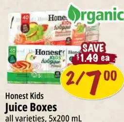 Farm Boy Honest Kids Juice Boxes offer