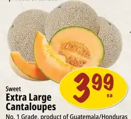 Farm Boy Sweet Extra Large Cantaloupes offer