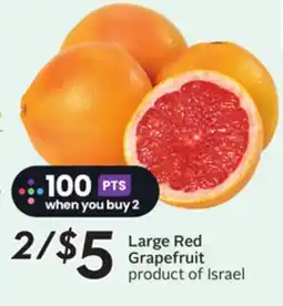 Sobeys Large Red Grapefruit offer