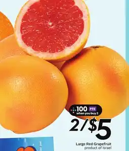 Sobeys Large Red Grapefruit - Citrus Fest offer