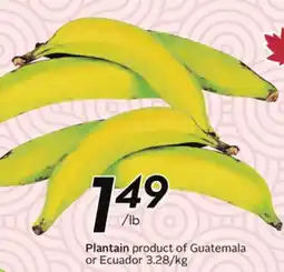 Sobeys Plantain offer