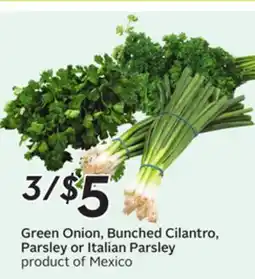 Sobeys Green Onion, Bunched Cilantro, Parsley or Italian Parsley offer