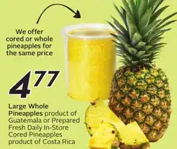 Sobeys Large Whole Pineapples offer
