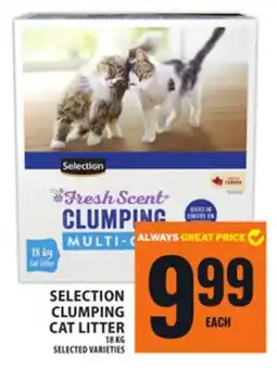 Food Basics SELECTION CLUMPING CAT LITTER offer