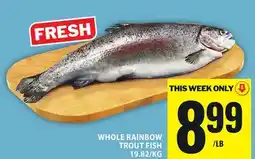 Food Basics WHOLE RAINBOW TROUT FISH offer