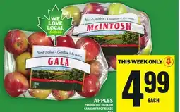 Food Basics APPLES offer
