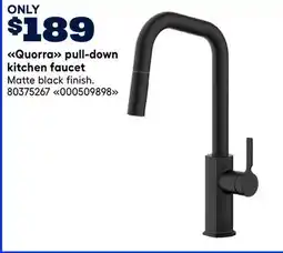 RONA Landon & Co. by Rona Quorra pull-down kitchen faucet offer