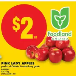 No Frills PINK LADY APPLES offer