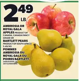 Independent Grocer AMBROSIA OR ROYAL GALA APPLES OR OR BARTLETT PEARS offer