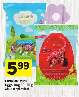 Foodland LINDOR Mini Eggs Bag offer