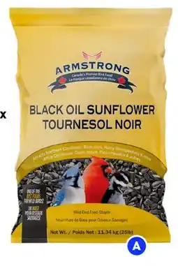 RONA ARMSTRONG Black oil sunflower seeds offer
