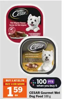 Foodland CESAR Gourmet Wet Dog Food offer
