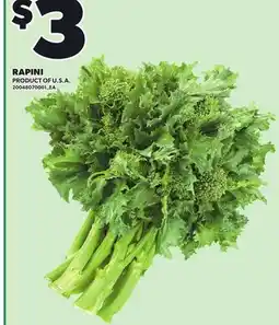 Loblaws RAPINI offer