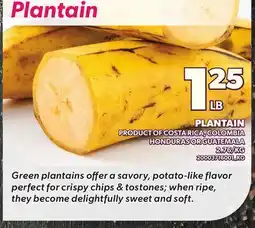 Loblaws PLANTAIN offer