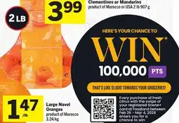 Foodland Large Navel Oranges offer