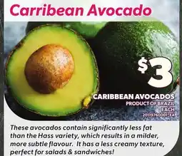 Loblaws CARRIBEAN AVOCADOS offer