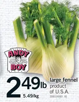 Fortinos LARGE FENNEL offer