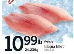 Fortinos FRESH TILAPIA FILLET offer